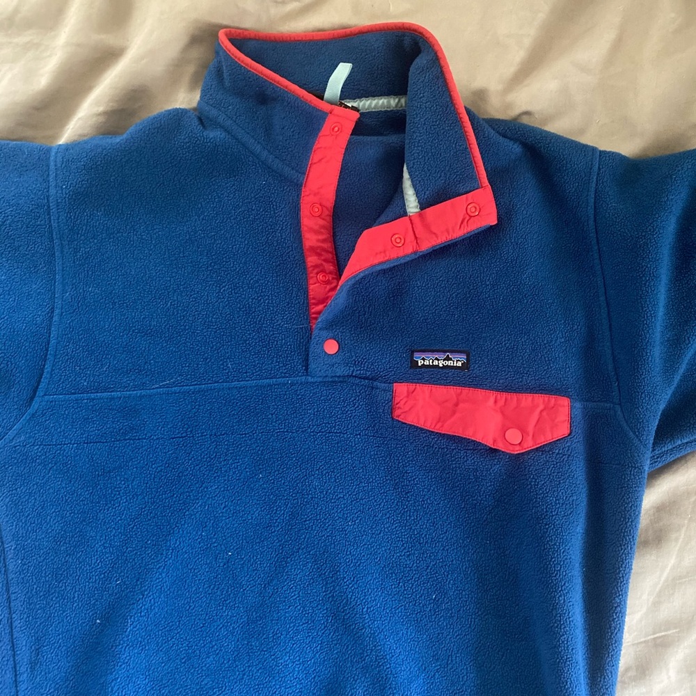 Patagonia Synchilla Fleece